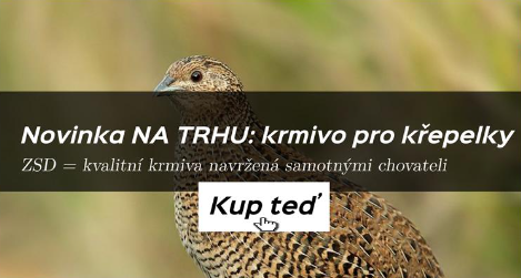 NOVINKA! Kvalitní KRMIVA PRO KŘEPELKY NOVINKA! Kvalitní KRMIVA PRO KŘEPELKY