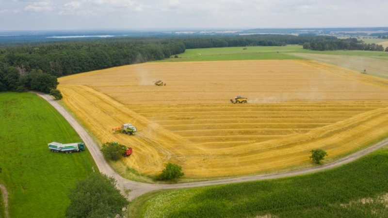 Rostlinná výroba Rostlinná výroba