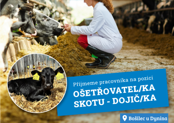 Ošetřovatel/ka skotu - dojič/dojička Ošetřovatel/ka skotu - dojič/dojička